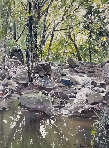 Bundara Creek I