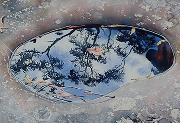 Reflection of a forest seen in a rockpool