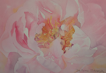 Watercolour painting of a Peony