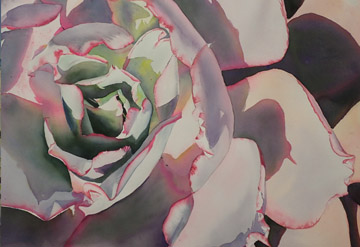 Watercolour painting of a succulent flower
